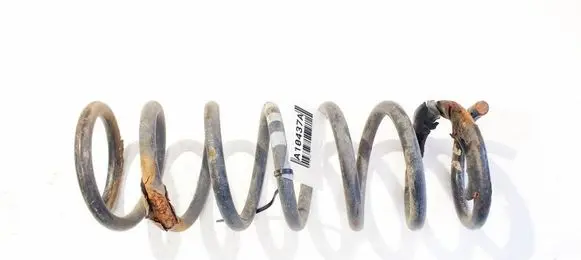 Rear coil spring
