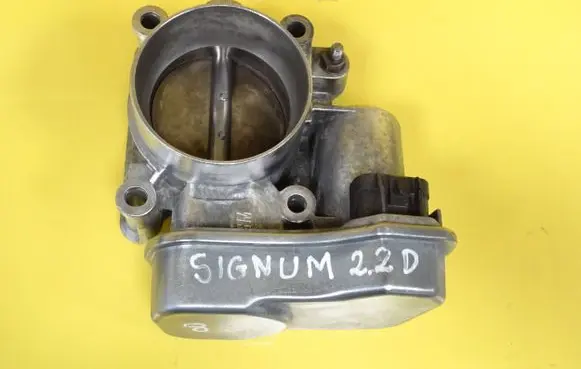 Opel Signum Throttle body valve 24459501