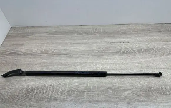 Tailgate strut