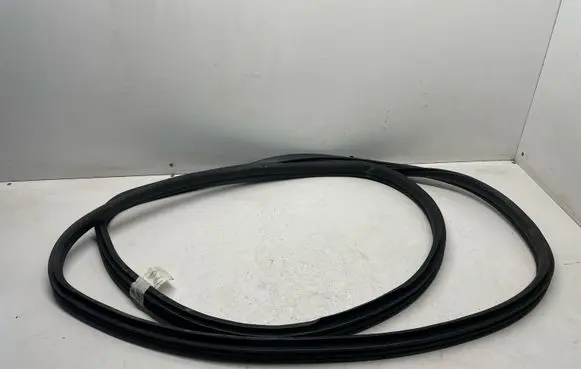 BMW X5 E70 Front door rubber seal