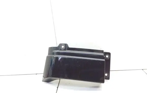 Rear/tail light trim molding