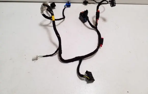 Other wiring loom