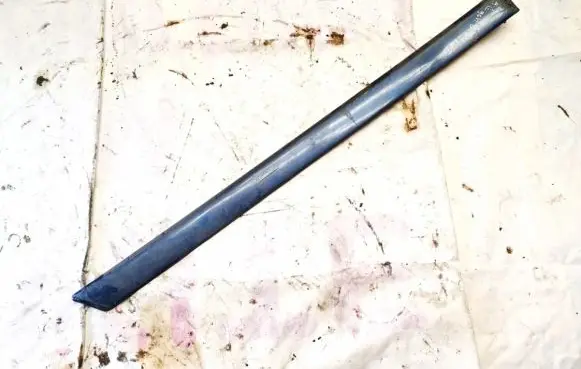 Rear door trim (molding)