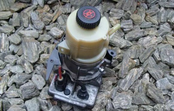 Opel Vivaro Power steering pump 491100616R
