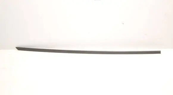 Skoda Octavia Mk4 Windshield trim 5E3854327 11996
