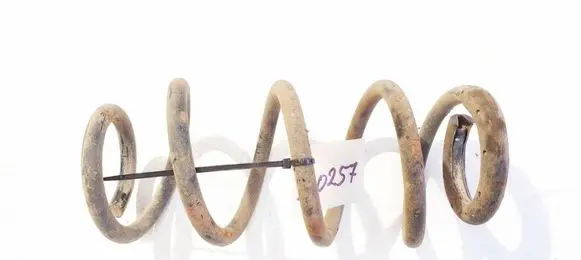 Rear coil spring