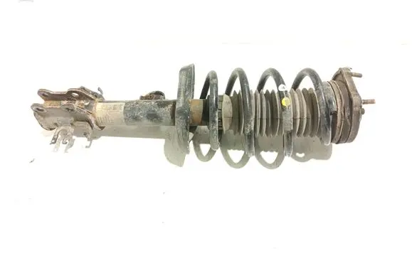 Fiat Doblo Front shock absorber with coil spring