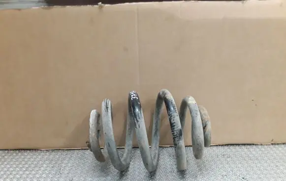 Rear coil spring