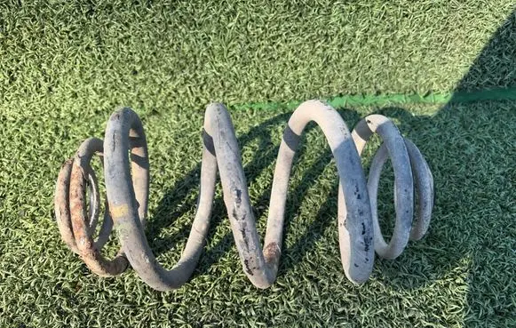 Rear coil spring