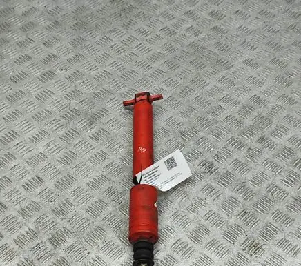 Chevrolet Corvette Front shock absorber/damper 80401015