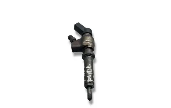 Peugeot 406 Fuel injector 9636819380