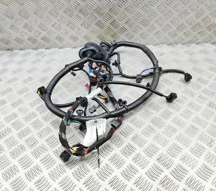 Aston Martin DBX Other wiring loom RY8313E784AA