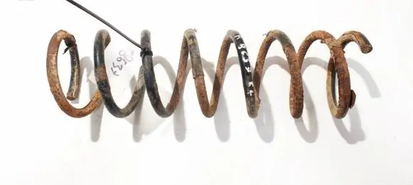 Ford Focus Rear coil spring