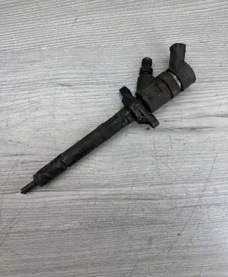 Ford C-MAX I Fuel injector 0445110259 328480 00401