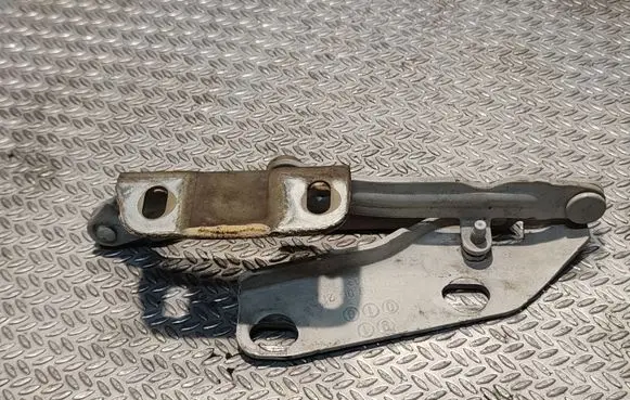 Volkswagen Crafter Engine bonnet/hood hinges 9067500021