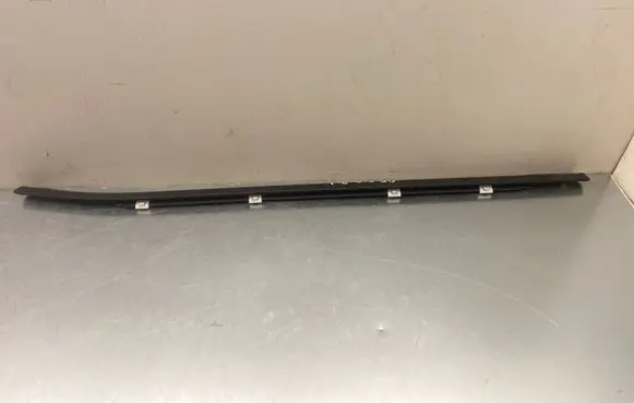 Hyundai Kona II Rubber seal rear door