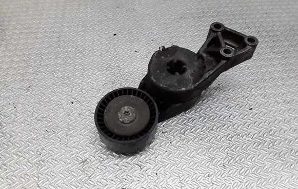 Skoda Octavia Mk2 (1Z) Generator/alternator belt tensioner 06A903315F