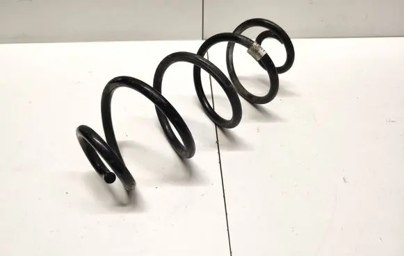Rear coil spring