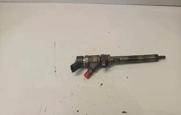 Citroen Berlingo Fuel injector 0445110239