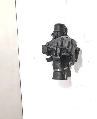 Citroen C4 I Picasso Throttle valve 9660030480 25365285