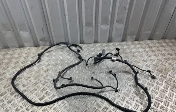 Peugeot 3008 II Parking sensor (PDC) wiring loom 9827827680 20118229 25202101