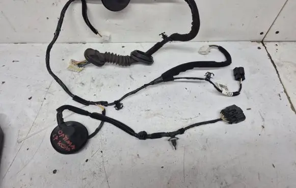 Other wiring loom