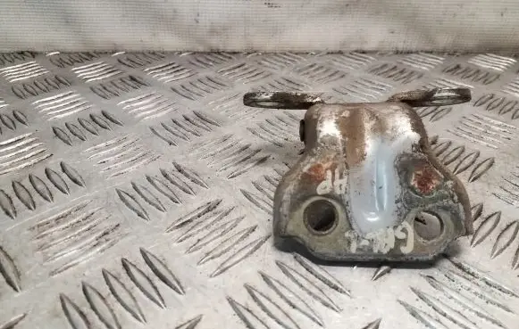 Hyundai Terracan Rear door lower hinge
