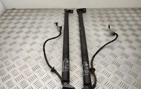 Tailgate/trunk strut/damper
