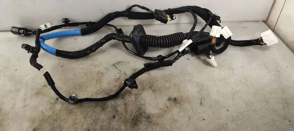 Front door wiring loom