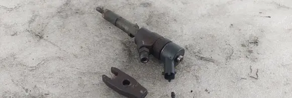 Citroen Xsara Picasso Fuel injector 0445110062 9640088780