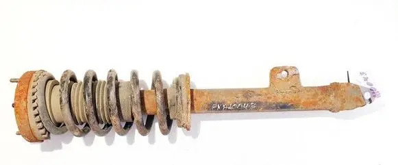 Dodge Magnum Front shock absorber/damper