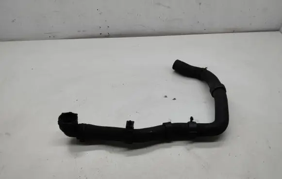 Seat Alhambra (Mk2) Engine coolant pipe/hose