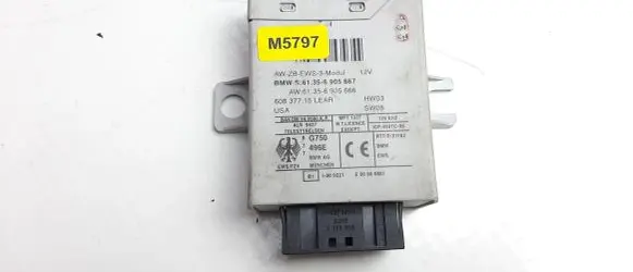 BMW 3 E46 Immobilizer control unit/module 6905667 M5797