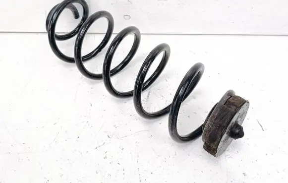 Rear coil spring
