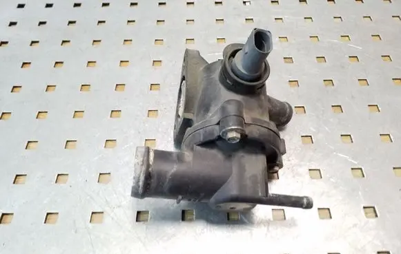 Thermostat/thermostat housing