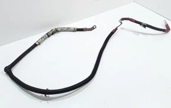 Positive wiring loom