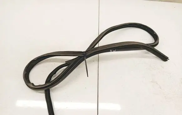 Skoda Superb B5 (3U) Rubber seal front coupe door