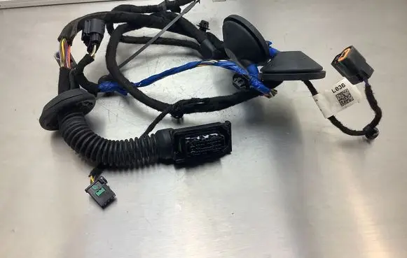KIA EV6 Rear door wiring loom 91620 CV360A