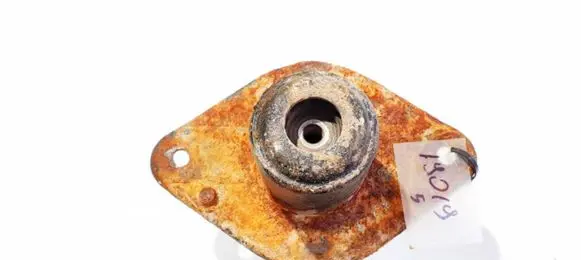 Coil spring mount