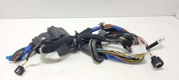 KIA Soul Front door wiring loom 919812K500