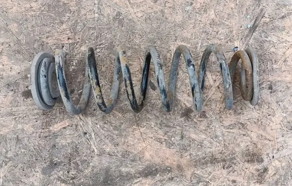 Rear coil spring