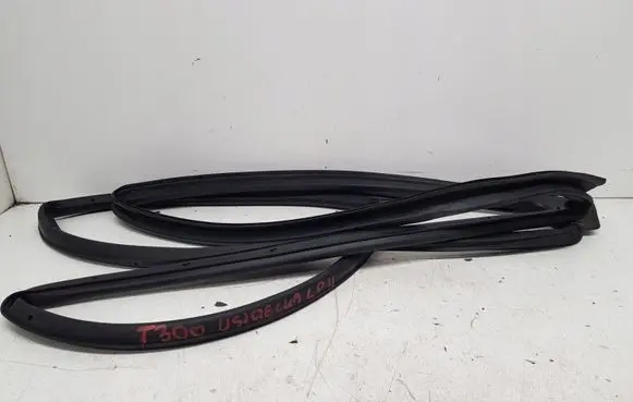 Chevrolet Aveo Front door rubber seal