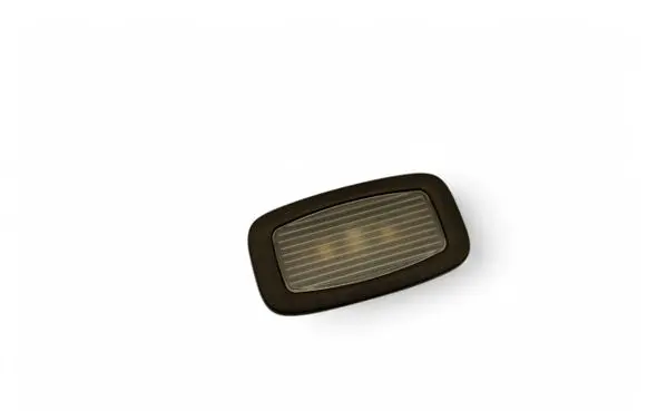 Mercedes-Benz S W222 Front seat light A0009066204