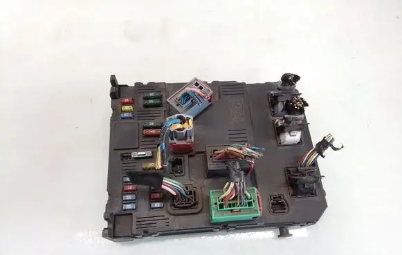 Peugeot 1007 Fuse module