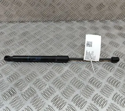 Opel Crossland X Tailgate/trunk strut/damper 39117353 9581810615N