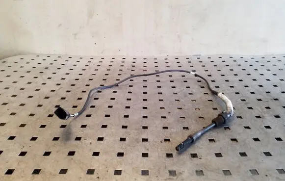 Volkswagen Golf V Exhaust gas temperature sensor