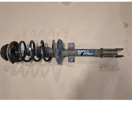 Dacia Duster Rear shock absorber with coil spring 