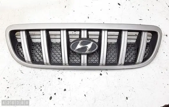 Hyundai Terracan Front grill 86251h1060