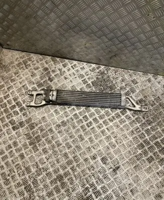 Mercedes-Benz A W169 Power steering radiator A1695000200 1695000200