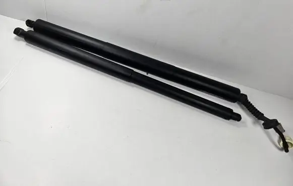 Ford Edge II Tailgate/trunk strut/damper KT4BR402A55BA